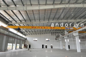 Lắp đặt cầu trục 3 tấn dầm đơn trọn bộ